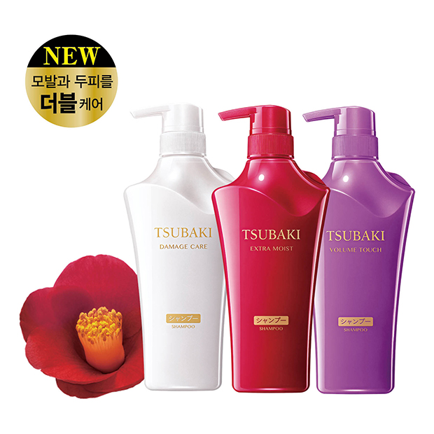 컨텐츠 이미지