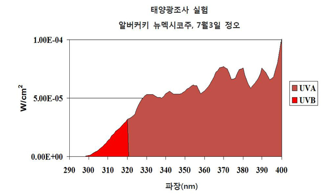 컨텐츠 이미지