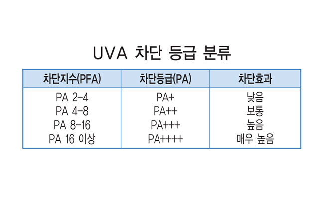 컨텐츠 이미지