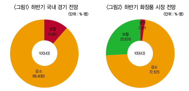 컨텐츠 이미지